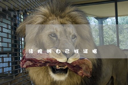 法院叫自己找证据 法院叫自己找证据