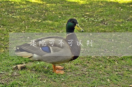 法院可不可以判 法院可不可以判