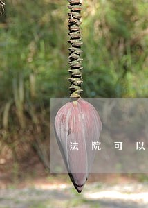 法院可以不判补充材料 法院可以不判补充材料