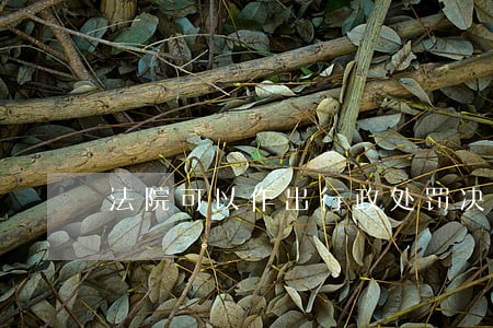 法院可以作出行政处罚决定吗 法院可以作出行政处罚决定吗