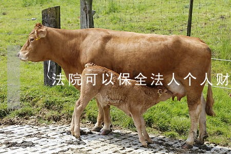 法院可以保全法人个人财产吗 法院可以保全法人个人财产吗