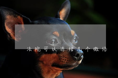 法院可以冻结几个微信 法院可以冻结几个微信