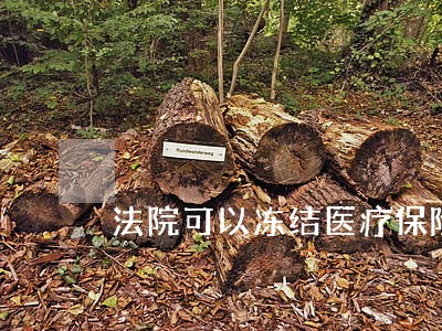 法院可以冻结医疗保险卡账户吗 法院可以冻结医疗保险卡账户吗