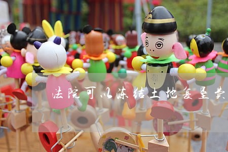 法院可以冻结土地复垦费吗 法院可以冻结土地复垦费吗