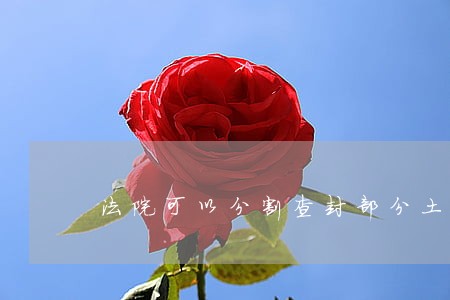 法院可以分割查封部分土地吗 法院可以分割查封部分土地吗