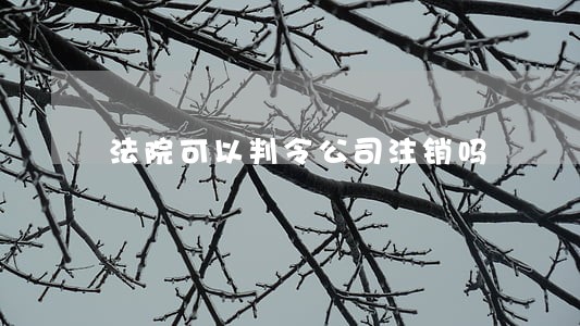 法院可以判令公司注销吗 法院可以判令公司注销吗