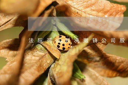 法院可以判决撤销公司股东资格吗 法院可以判决撤销公司股东资格吗
