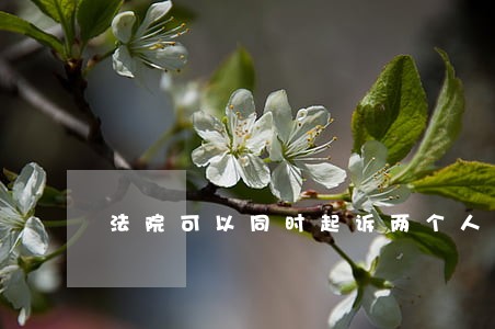 法院可以同时起诉两个人吗 法院可以同时起诉两个人吗