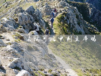 法院可以审判主席吗