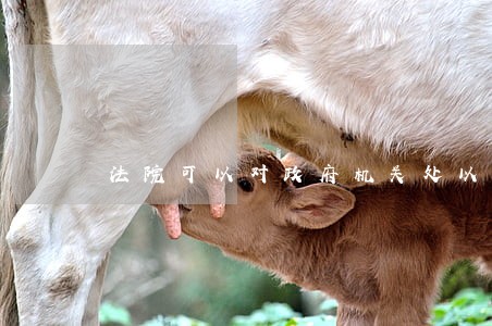 法院可以对政府机关处以罚款吗 法院可以对政府机关处以罚款吗