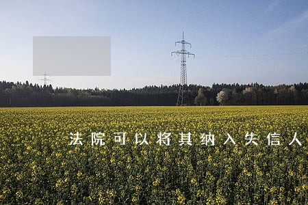 法院可以将其纳入失信人名单 法院可以将其纳入失信人名单