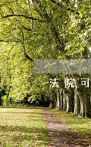 法院可以强行扣划我储蓄卡的钱吗 法院可以强行扣划我储蓄卡的钱吗