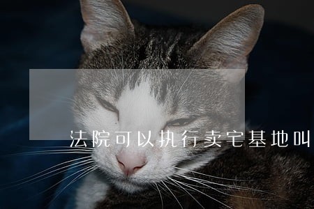 法院可以执行卖宅基地叫 法院可以执行卖宅基地叫