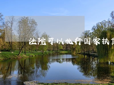 法院可以执行国家扶贫款吗 法院可以执行国家扶贫款吗