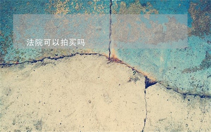 法院可以拍买吗 法院可以拍买吗