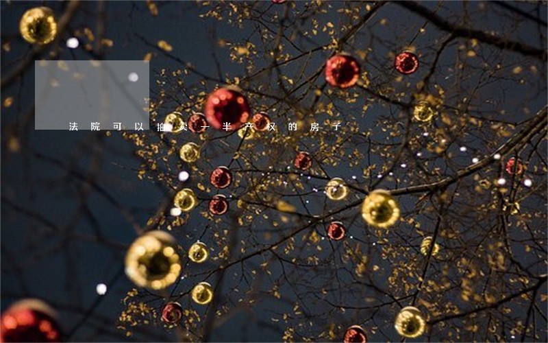 法院可以拍卖一半产权的房子 法院可以拍卖一半产权的房子