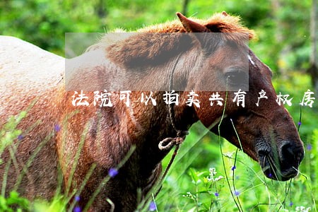 法院可以拍卖共有产权房屋