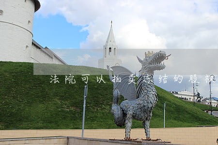 法院可以拍卖冻结的股权吗 法院可以拍卖冻结的股权吗