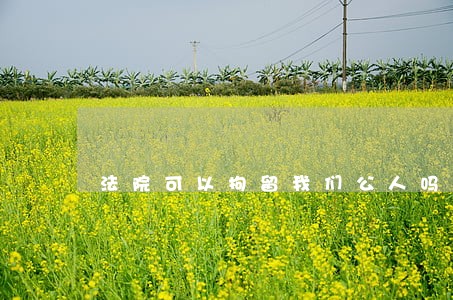 法院可以拘留我们公人吗 法院可以拘留我们公人吗