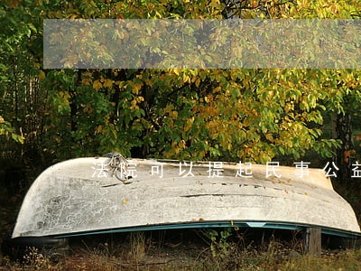 法院可以提起民事公益诉讼吗