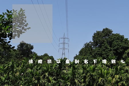 法院可以查到名下理财么 法院可以查到名下理财么