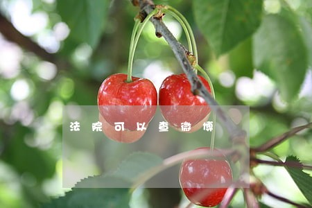 法院可以查微博 法院可以查微博