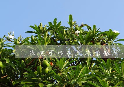 法院可以永久冻结银行卡 法院可以永久冻结银行卡