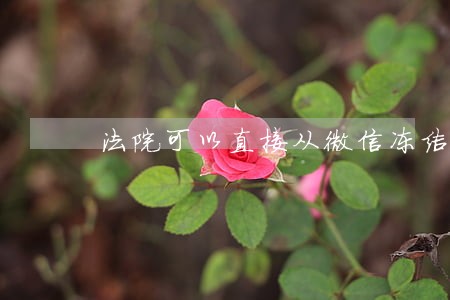 法院可以直接从微信冻结零钱吗 法院可以直接从微信冻结零钱吗