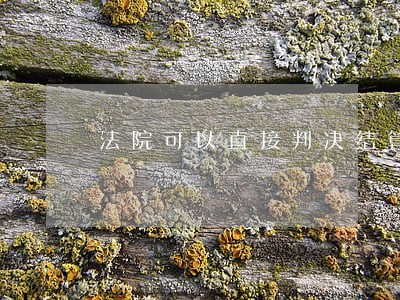 法院可以直接判决结算吗