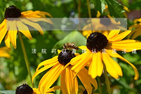 法院可以直接认定违法建筑吗