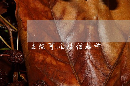 法院可以短信起诉 法院可以短信起诉