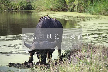 法院可以给开发商发律师函吗 法院可以给开发商发律师函吗