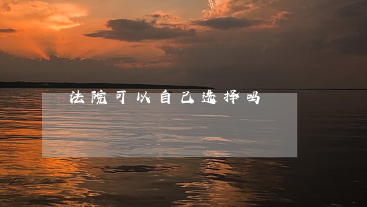 法院可以自己选择吗 法院可以自己选择吗