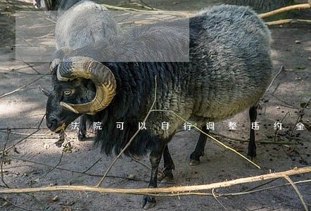 法院可以自行调整违约金比例吗 法院可以自行调整违约金比例吗