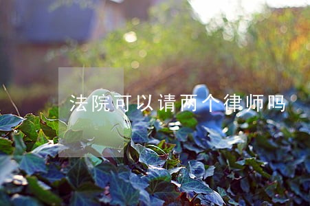 法院可以请两个律师吗 法院可以请两个律师吗