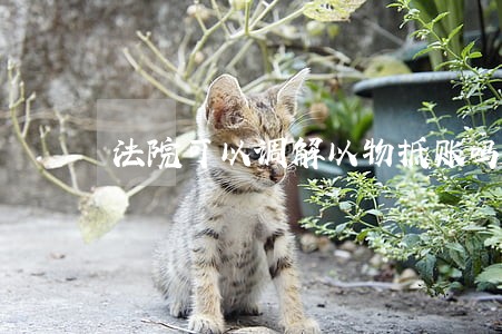 法院可以调解以物抵账吗 法院可以调解以物抵账吗