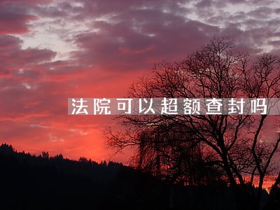 法院可以超额查封吗 法院可以超额查封吗