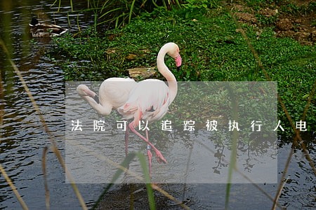 法院可以追踪被执行人电话吗 法院可以追踪被执行人电话吗