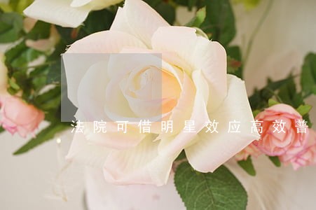 法院可借明星效应高效普法 法院可借明星效应高效普法