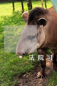 法院可到银行查欠债人亲属账号吗 法院可到银行查欠债人亲属账号吗