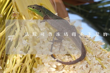 法院可否冻结尚未下发的动迁款 法院可否冻结尚未下发的动迁款