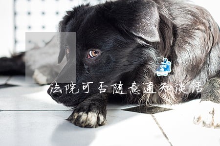 法院可否随意通知谈话 法院可否随意通知谈话