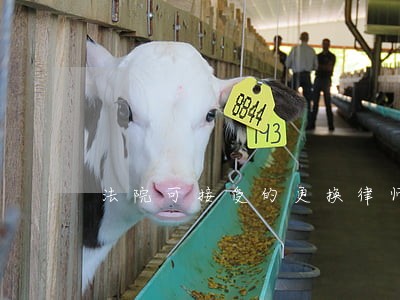 法院可接受的更换律师的理由 法院可接受的更换律师的理由