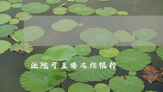 法院可直接冻结银行
