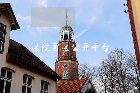 法院司法公开平台 法院司法公开平台