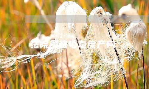 法院司法拍卖房产网