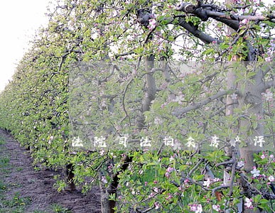 法院司法拍卖房产评估价低 法院司法拍卖房产评估价低