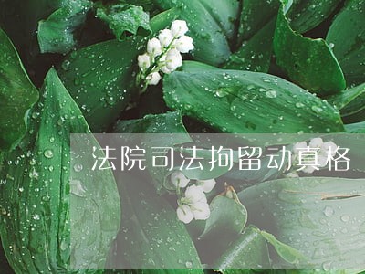 法院司法拘留动真格 法院司法拘留动真格