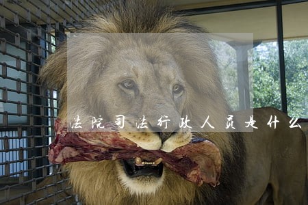 法院司法行政人员是什么意思 法院司法行政人员是什么意思