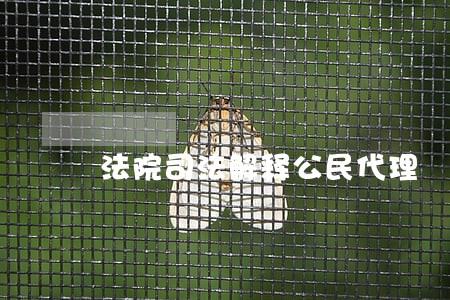 法院司法解释公民代理